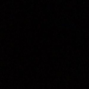 Meet your Posher, Ellie